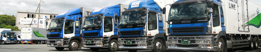 大洋ライン３つの特徴